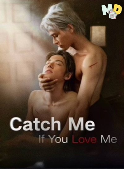 Capa da minisserie O Rato Se Apaixonou Pelo Gato - Catch Me If You Love Me